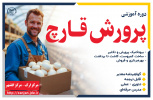 پرورش قارچ